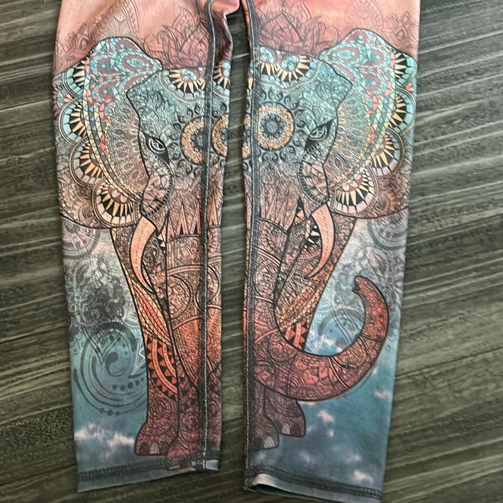 Evolution and Creation